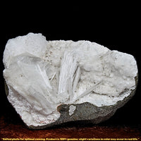 100g Scolecite Geode Rare Needle Crystal Formation India Mineral Specimen