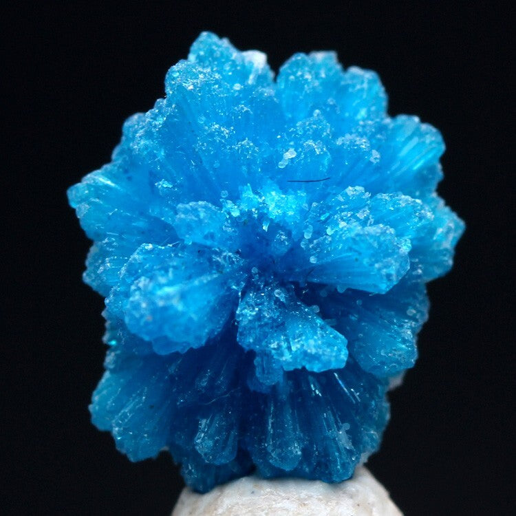 CAVANSITE STILBITE Specimen Blue Crystal Cluster Mineral INDIA w/ ID card