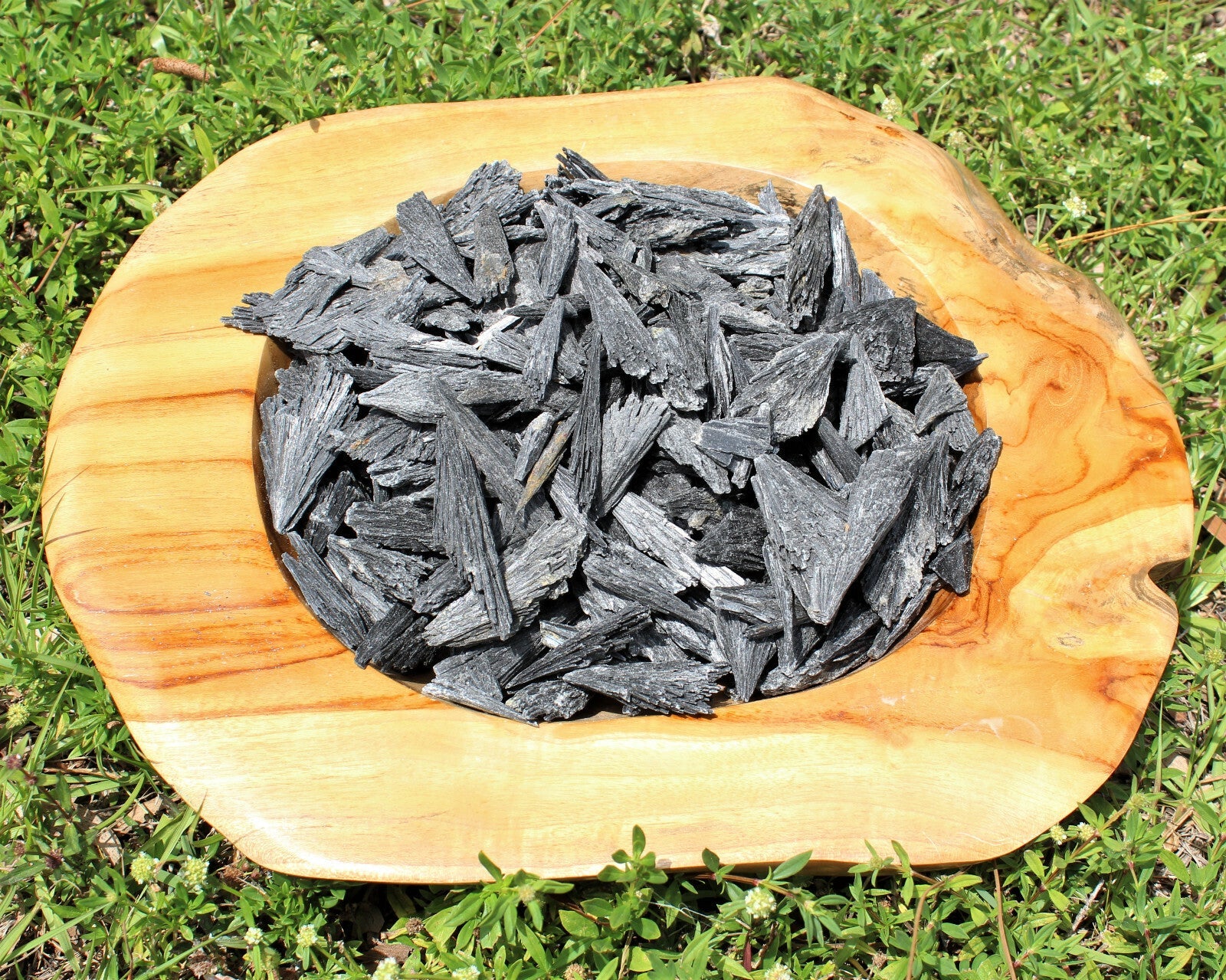 1 lb Black Kyanite Blades Fans: Natural Premium Quality Wholesale Bulk Lot 16 oz