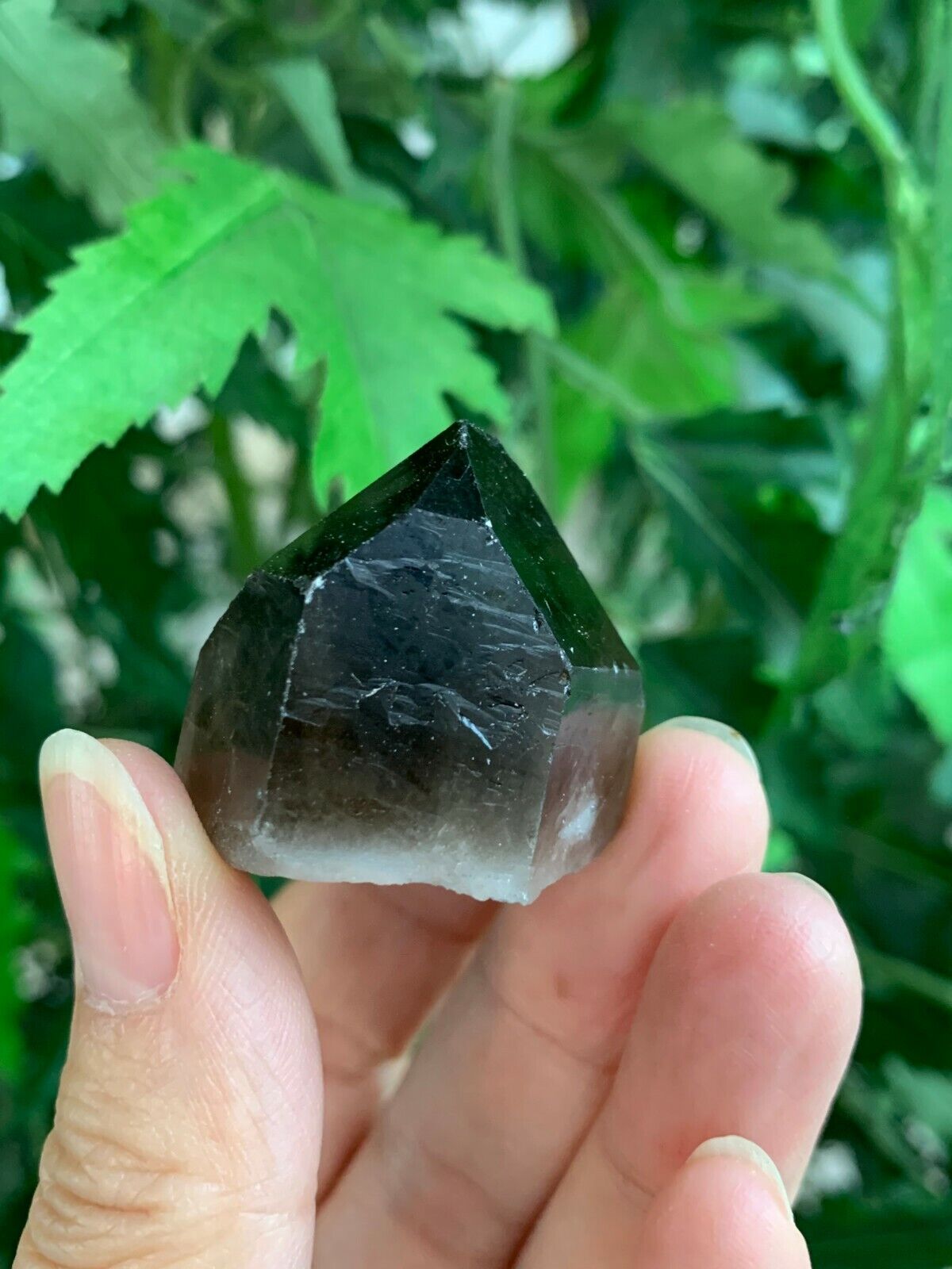 Natural Smoky Quartz Crystal Points, Raw Smoky Quartz Point, Wholesale Bulk Lot