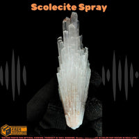 Rare Scolecite Spray Crystal 15g Zeolite Mineral Specimen from India