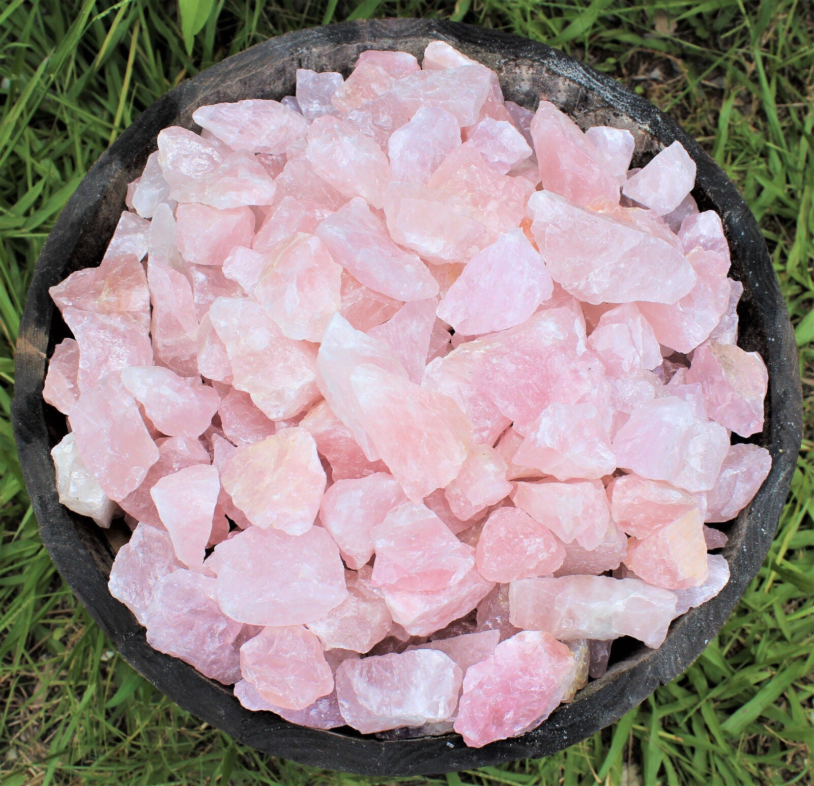Single Large Rough Rose Quartz Crystal | 2"–3" Natural Raw Love Stone | Healing Specimen