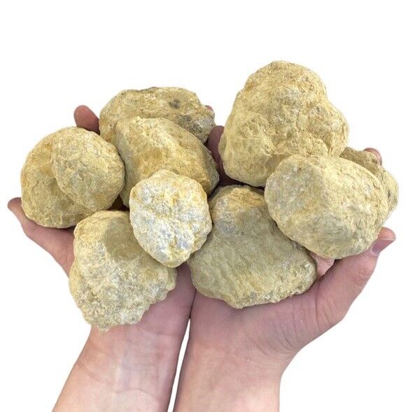 10 Break Crack Open Your Own Whole indian Geodes W/Gift Box - 2" Crystal Druzy