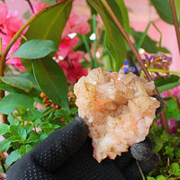 220g Natural Orange Stilbite with Heulandite Mineral Crystal Cluster from India