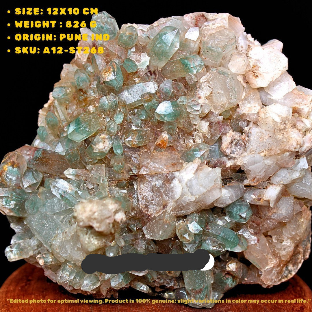 826g Green Himalayan Clear Quartz Cluster Rare Mineral Specimen from India