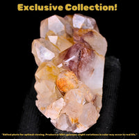 Stunning Phantom Quartz Cluster 200g 9x5 cm Natural Crystal from India