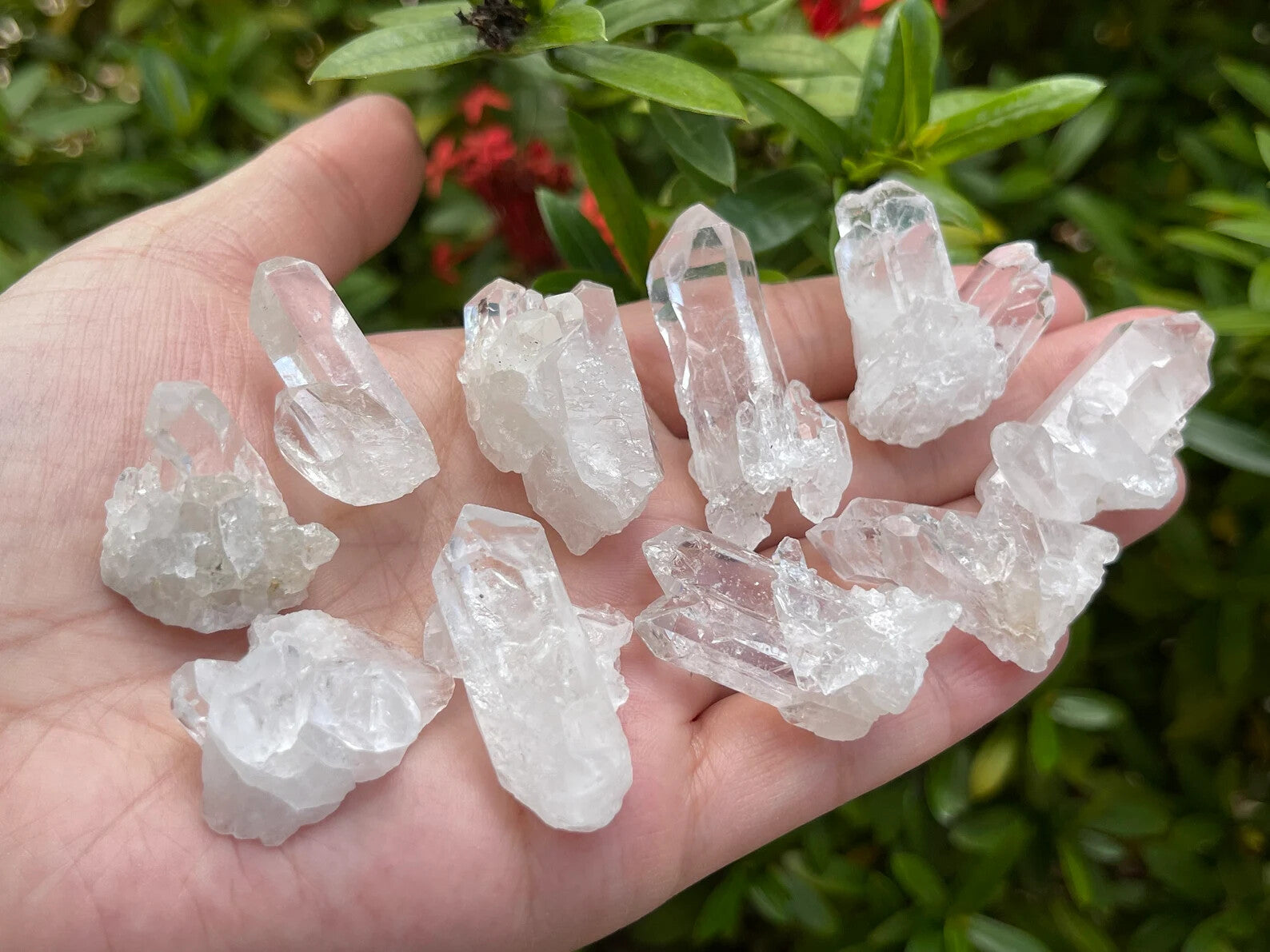 10 pcs Box Clear Quartz Clusters Collection, Grade A++ Raw Clear Quartz Geode