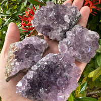 Grade A Amethyst Cluster, Amethyst Geode, Raw Amethyst Druze, Wholesale Bulk Lot