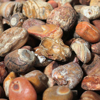 Bahia Agate - Large Rough Rocks for Tumbling - 2" - 3" - 1LB Bulk Wholesale