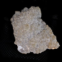 Natural Coral Chalcedony Cluster 460g Healing Crystal Reiki Stone India