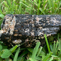 Extra Large Black Tourmaline Chunk / Rod / Log, Natural Rough Black Tourmaline