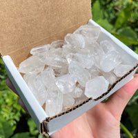 Clear Quartz Points Crystal Collection 1/2 Lb (8 oz) Natural Specimens in Box