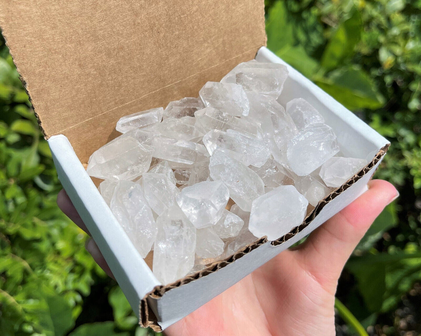 Clear Quartz Points Crystal Collection 1/2 Lb (8 oz) Natural Specimens in Box