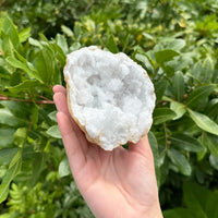 MASSIVE Sugar Quartz Geodes - Natural Crystal Geode Specimens From Morocco