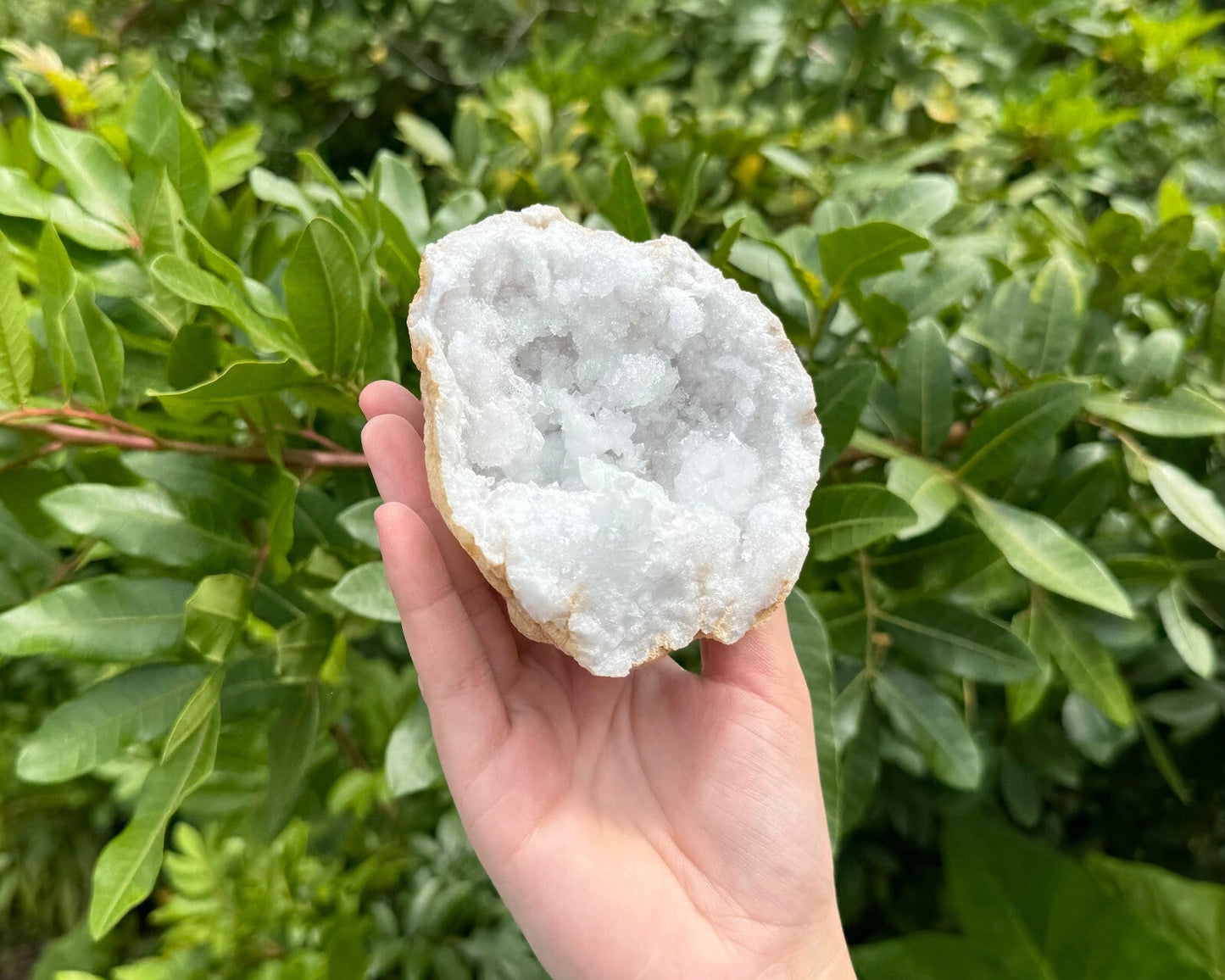 MASSIVE Sugar Quartz Geodes - Natural Crystal Geode Specimens From Morocco