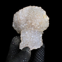 Rare Amethyst Flower Quartz Cluster 260g Natural Mineral Specimen India