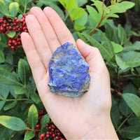 LARGE Rough Lapis Lazuli Chunks, 2" - 3" (Blue Raw Crystal Gemstone Specimen)