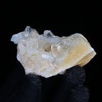 Rare 120g Golden Rutile Quartz with Chlorite Crystal Cluster  India 7x4cm