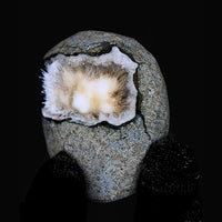 Quartz Geode with Scolecite Crystal Cluster 210g Healing Stone India