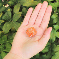 1 x Tumbled Stones : You Choose Type - Huge Range - ON SALE! (Crystal Healing)