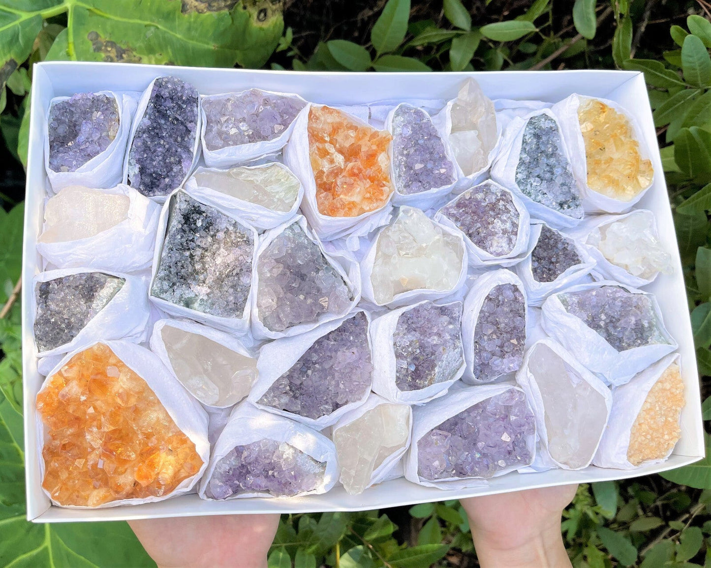 HUGE Bulk Lot Citrine Clear Quartz Amethyst Clusters Druze Crystal 20 - 30 Piece