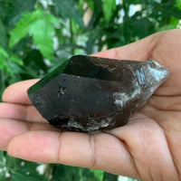 Extra Large Natural Smoky Quartz Crystal Points, 2-3 Inches Smoky Quartz Point