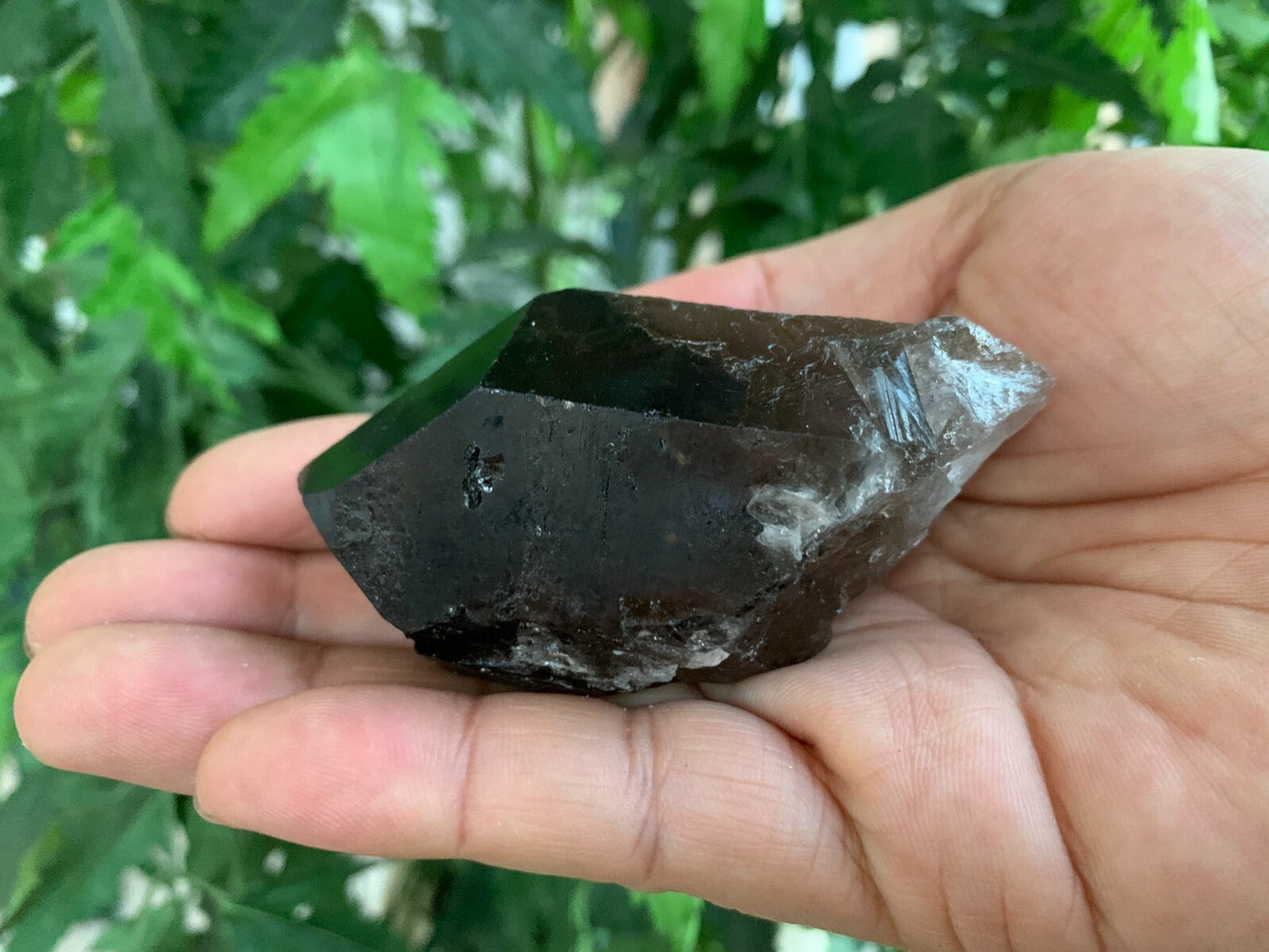 Extra Large Natural Smoky Quartz Crystal Points, 2-3 Inches Smoky Quartz Point