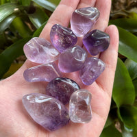 Grade A++ Amethyst Tumbled Stones, 0.75"-1.25" Amethyst Polished Stone, Bulk Lot