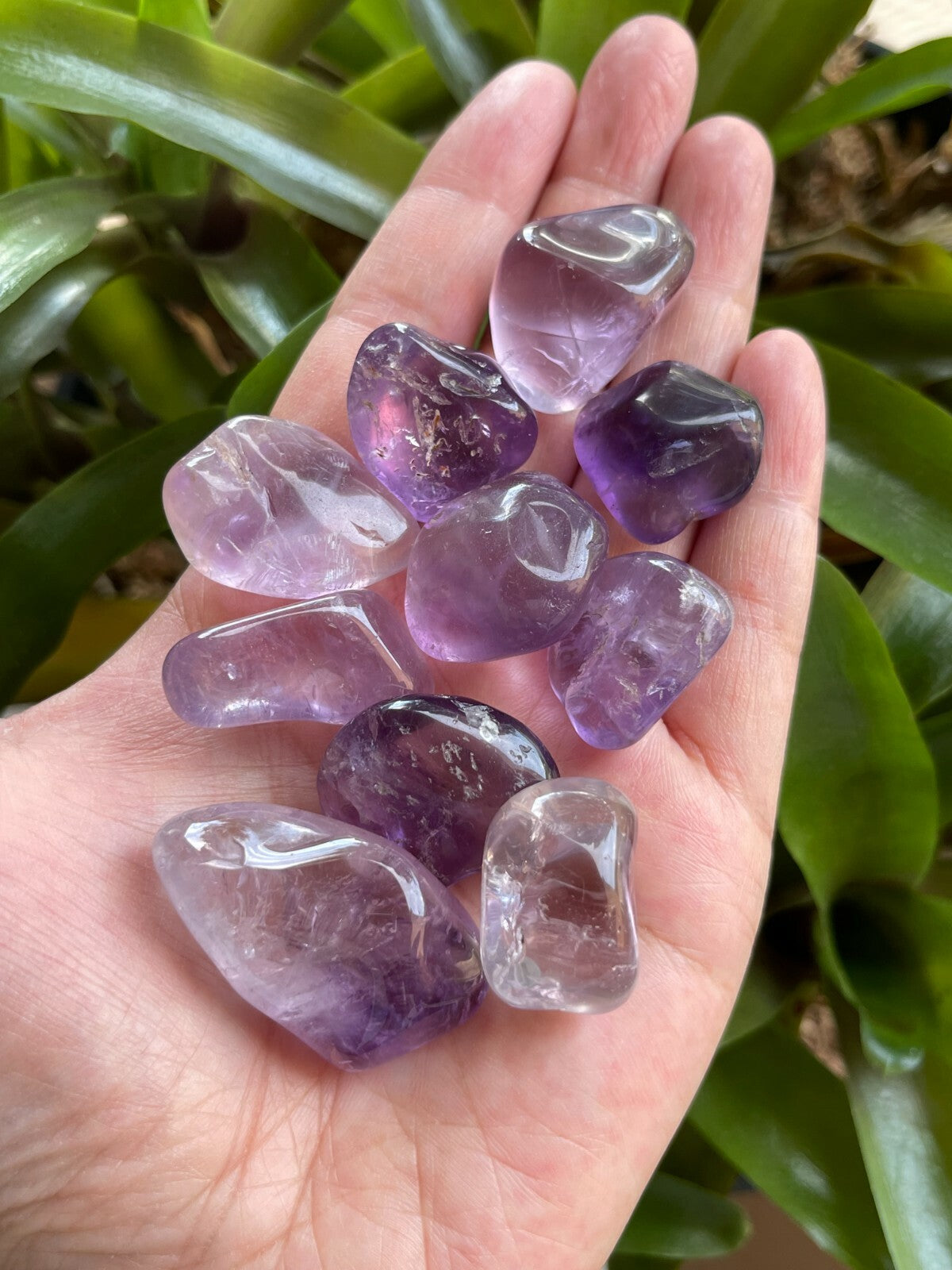 Grade A++ Amethyst Tumbled Stones, 0.75"-1.25" Amethyst Polished Stone, Bulk Lot