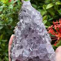 Uruguayan Amethyst Cluster, Grade B Amethyst Geode with Cut Base, Pick a Size