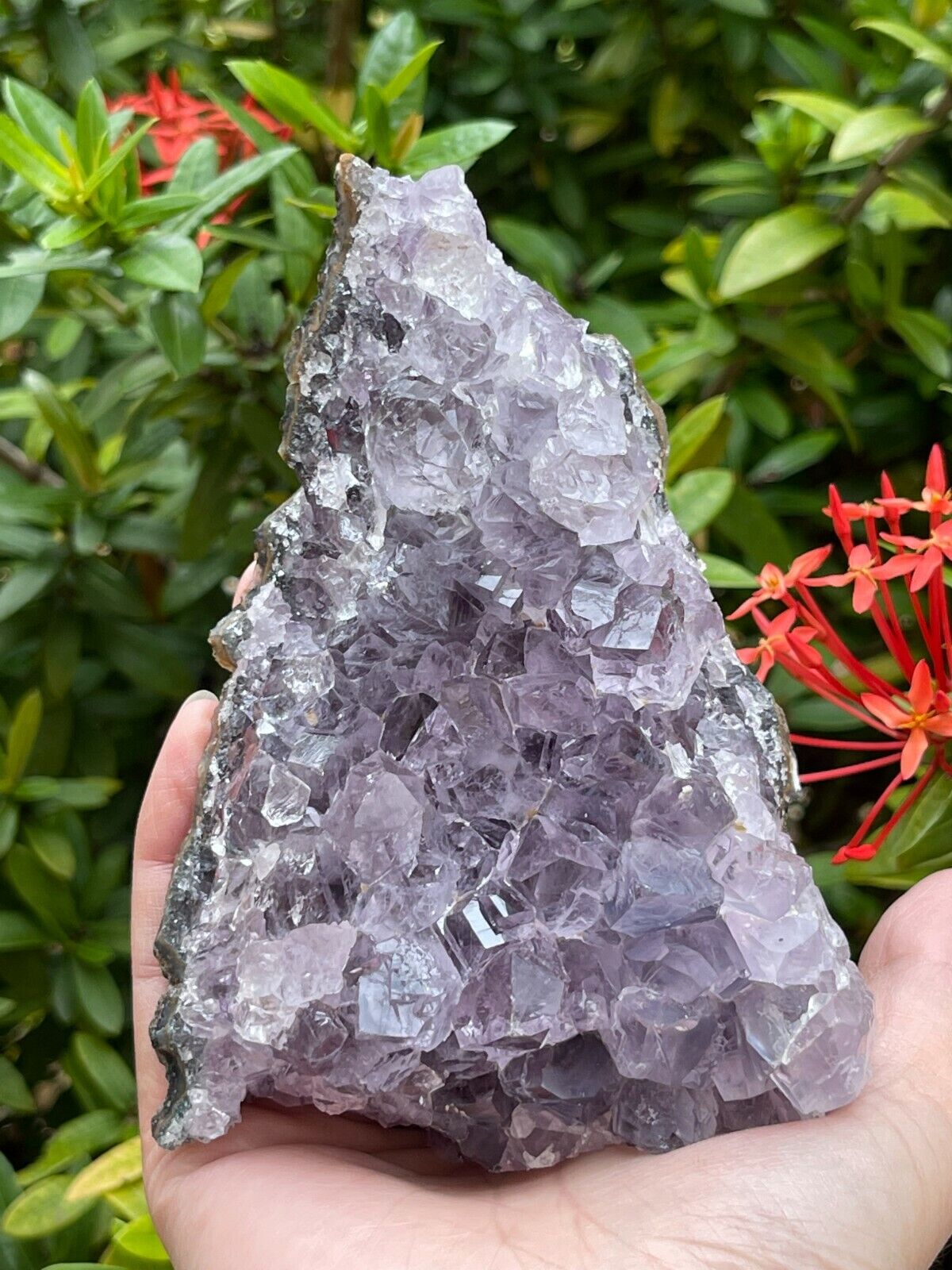 Uruguayan Amethyst Cluster, Grade B Amethyst Geode with Cut Base, Pick a Size