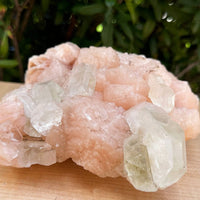 Apophyllite & Stilbite Crystal Cluster 3-8", Apophyllite Cluster with Inclusions