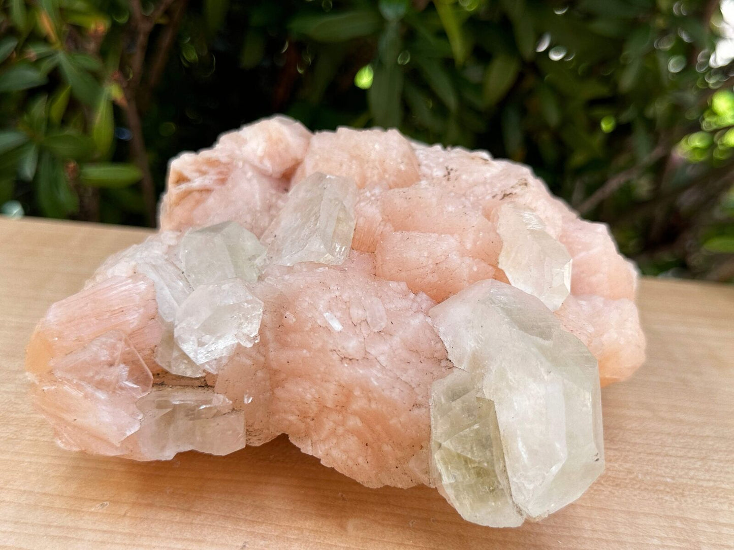 Apophyllite & Stilbite Crystal Cluster 3-8", Apophyllite Cluster with Inclusions