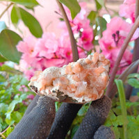 Orange Stilbite & Heulandite Crystal Cluster | Reiki & Chakra Healing 120g