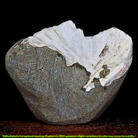 Scolecite Geode 176g Natural Radiating Needle Crystal Healing Stone India