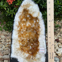 X-Large Citrine Cathedral, Citrine Geode, Honey Citrine Cluster, Pick a Weight