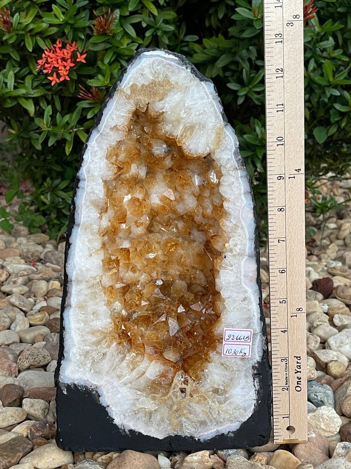 X-Large Citrine Cathedral, Citrine Geode, Honey Citrine Cluster, Pick a Weight