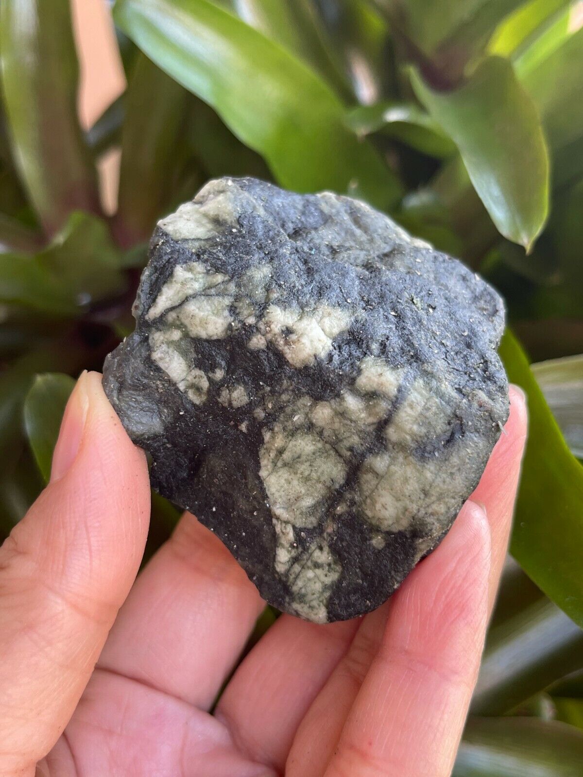 Grade A++ Large Emerald Rough Stones, 2 - 3 Inch Raw Emerald, Wholesale Bulk Lot