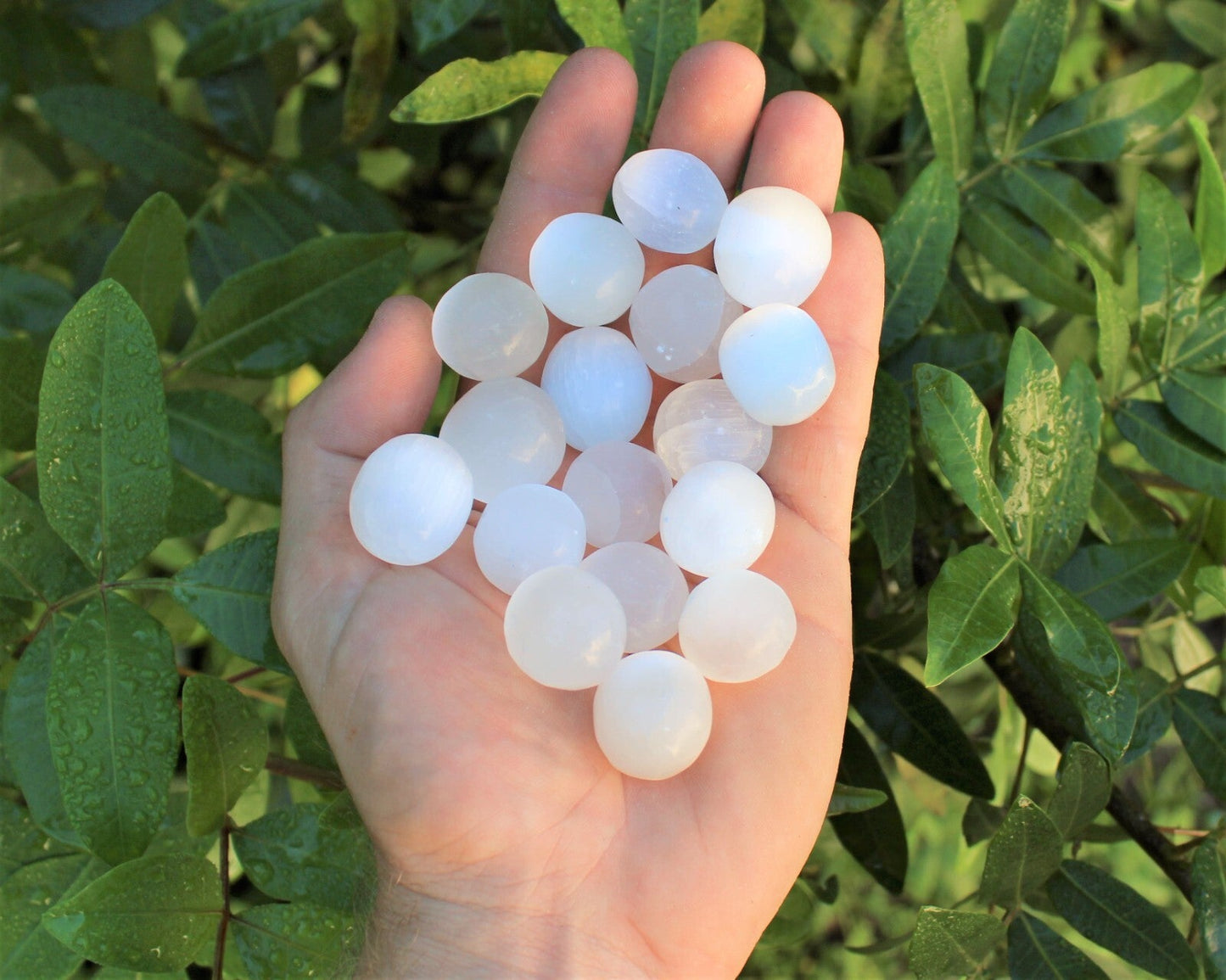 Selenite Tumbled Stones: Choose How Many ('A' Grade Polished Selenite Crystals)