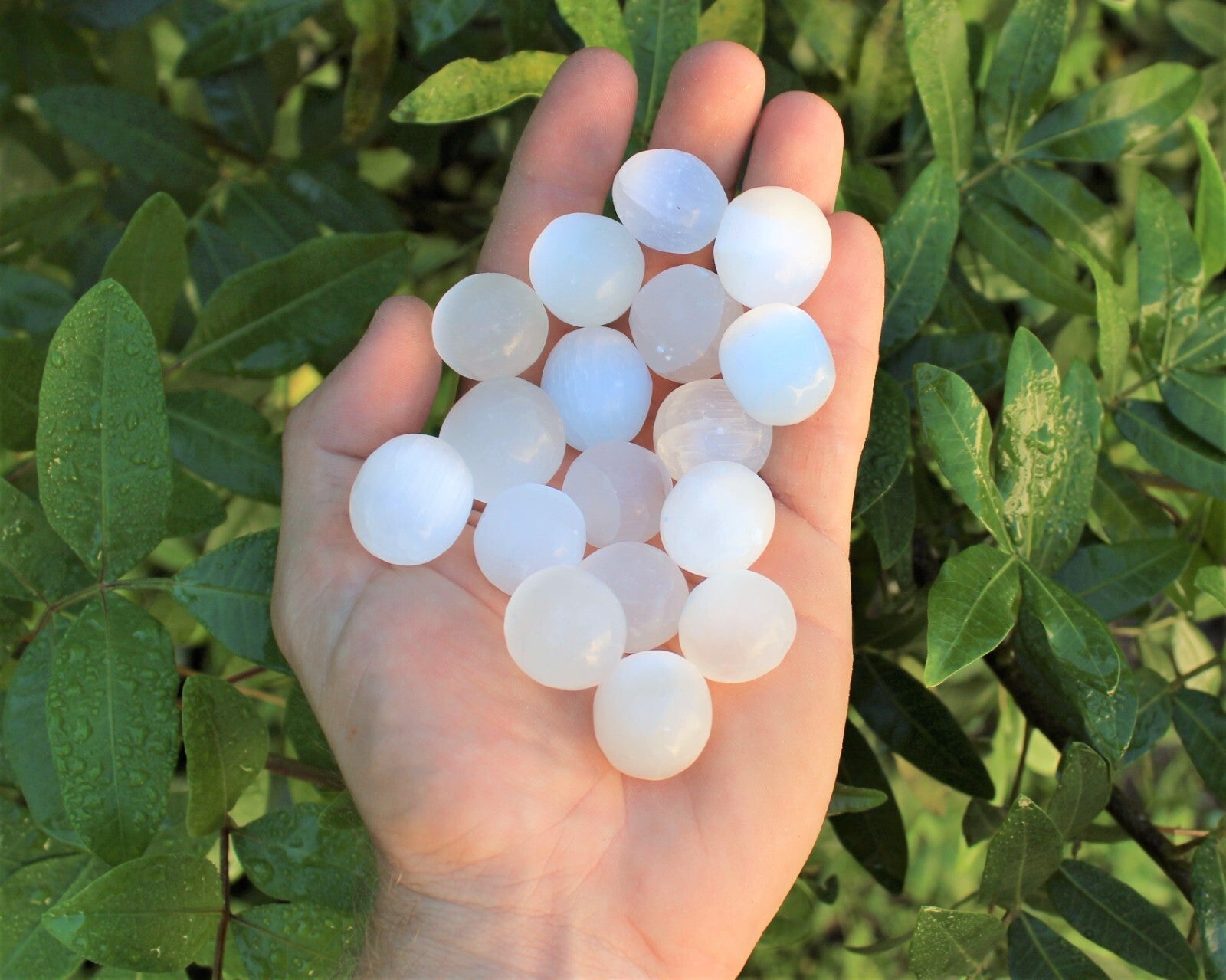 Selenite Tumbled Stones: Choose How Many ('A' Grade Polished Selenite Crystals)