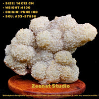 Coral Stone Specimen 410g | Ocean Energy Fossil for Grounding & Calm