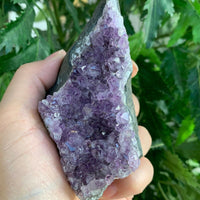 Amethyst Cluster, Amethyst Geode From Uruguay Cut Base, Pick a Size