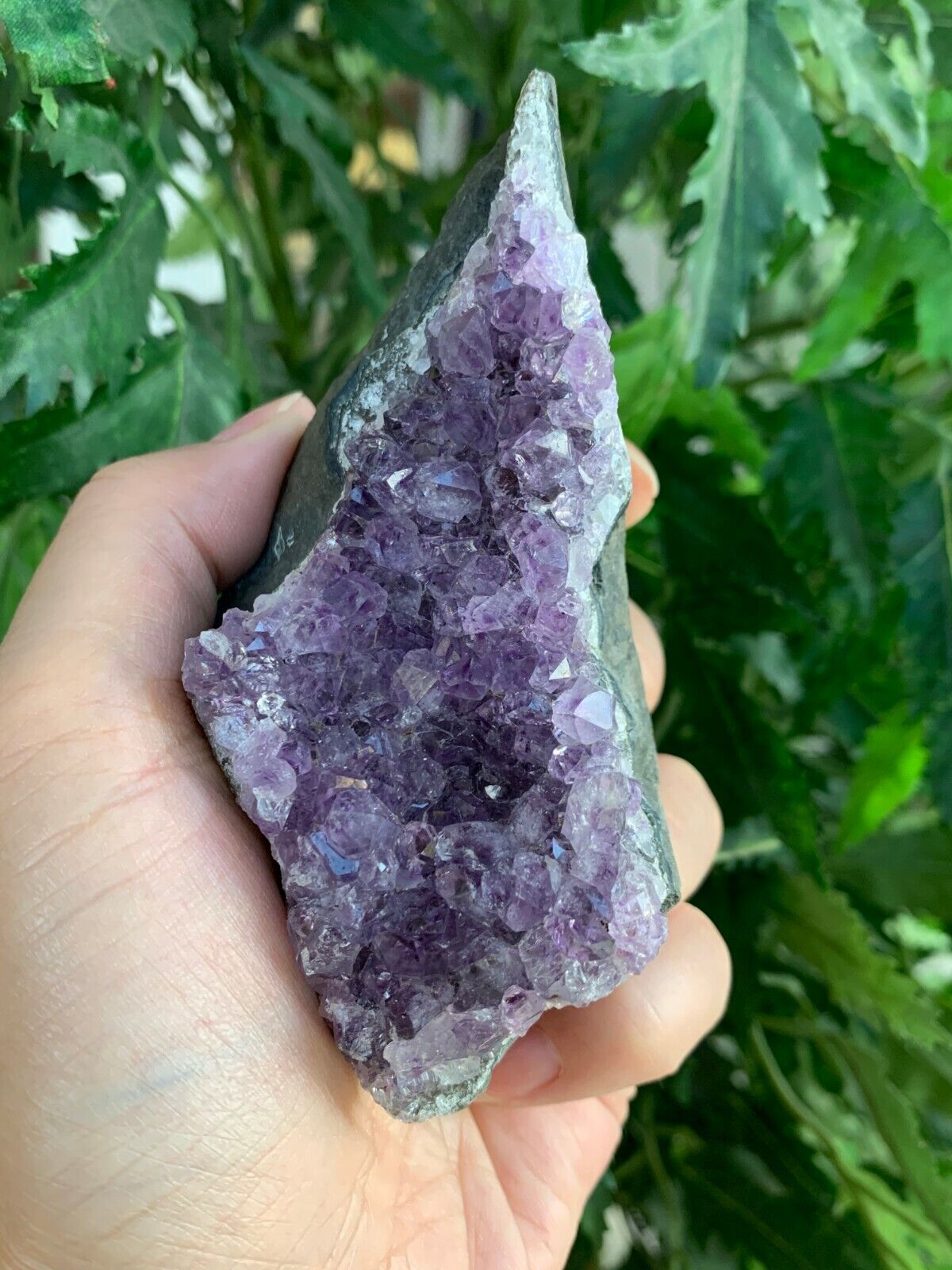 Amethyst Cluster, Amethyst Geode From Uruguay Cut Base, Pick a Size