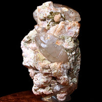 Smoky Quartz with Chlorite 222g Rare Mineral Crystal Specimen from India