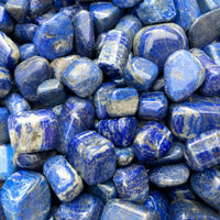 Grade A++ Lapis Lazuli Tumbled Stone, 0.65-1.5 Inch Lapis Crystal,Wholesale Bulk