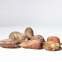 Bahia Agate - Large Rough Rocks for Tumbling - 2" - 3" - 1LB Bulk Wholesale