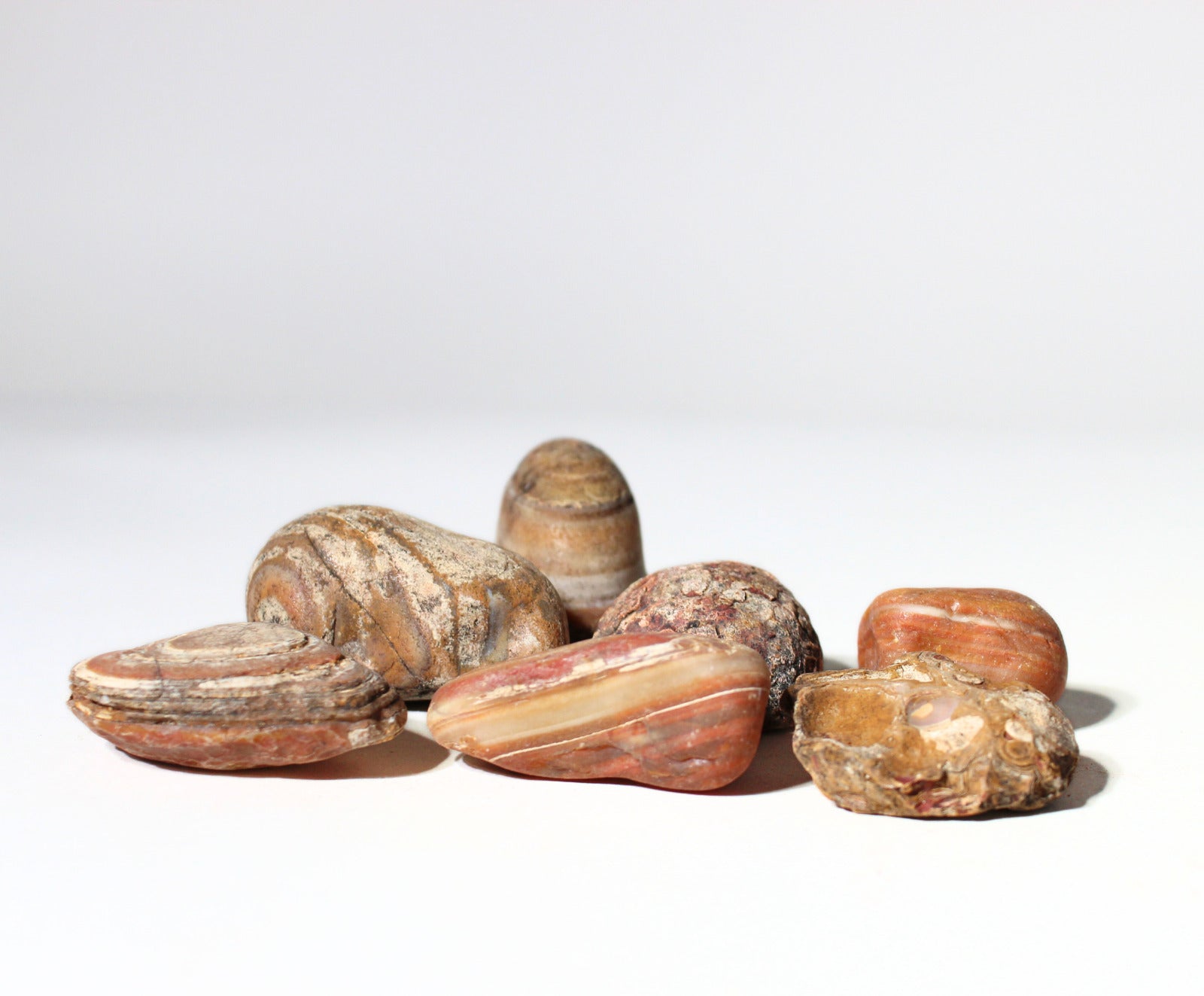 Bahia Agate - Large Rough Rocks for Tumbling - 2" - 3" - 1LB Bulk Wholesale