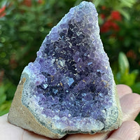 Small Uruguayan Amethyst Cluster, Amethyst Geode, Wholesale Bulk Lot