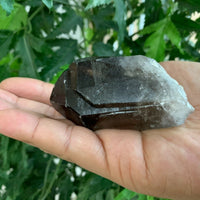 Extra Large Natural Smoky Quartz Crystal Points, 2-3 Inches Smoky Quartz Point