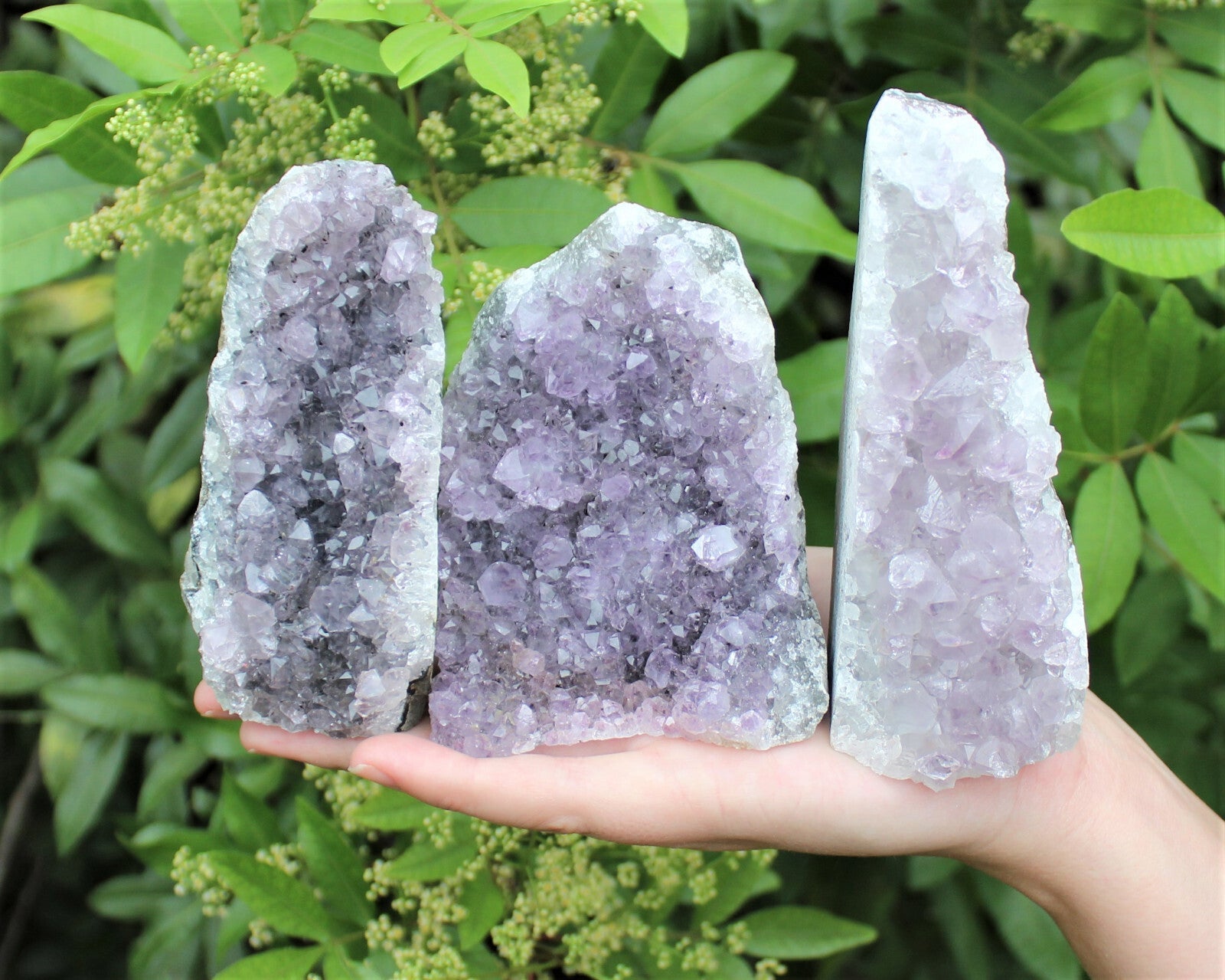 CRAZY CHEAP Gray Lavender Amethyst Cut Base Crystal Geodes - Closeout Amethyst